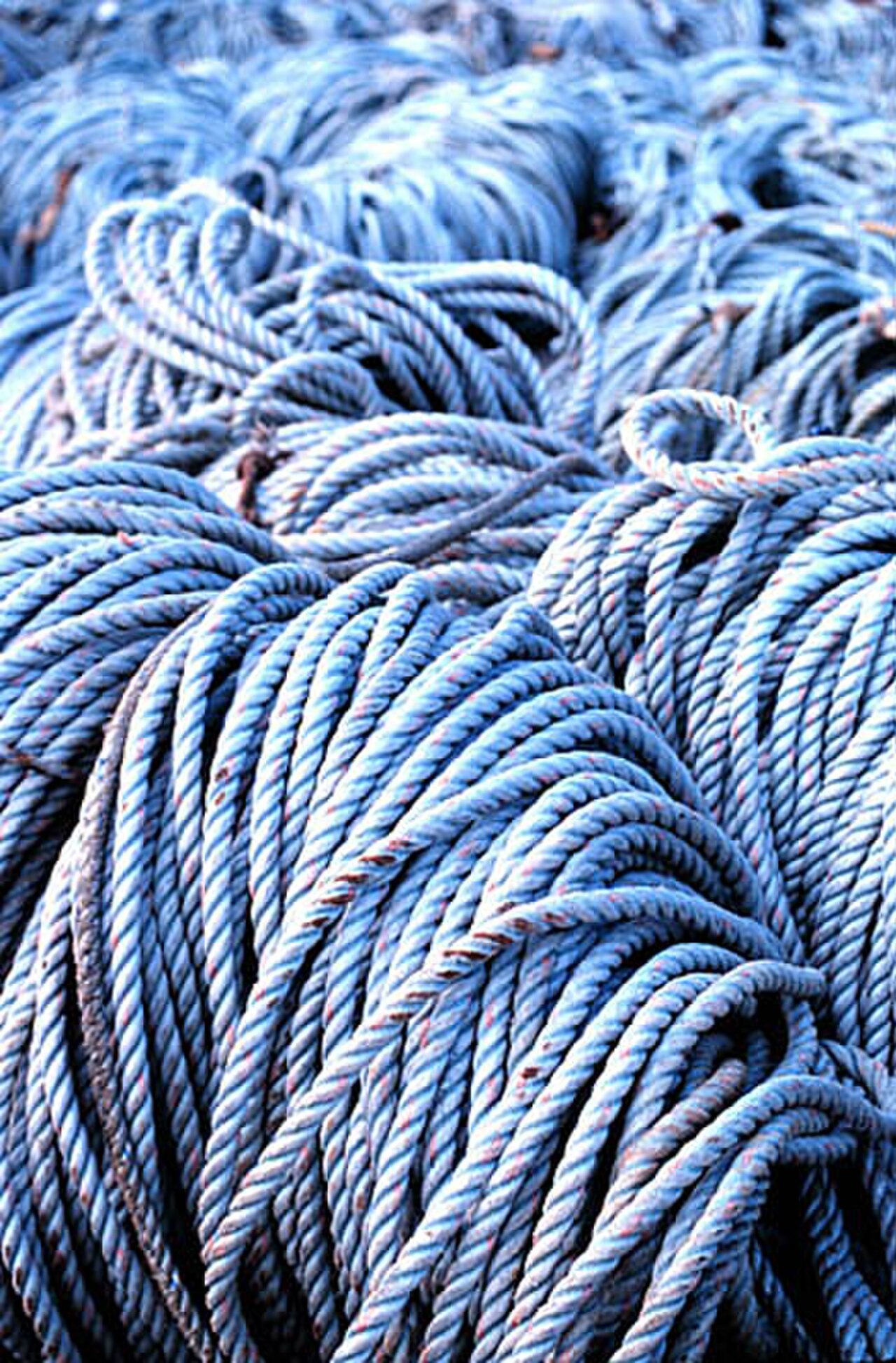 Marine-grade rope rigging — the raw material of every Loft & Strand piece